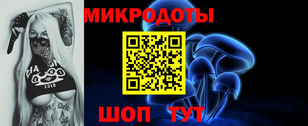 Галлюциногенные грибы Psilocybine cubensis Ленинск-Кузнецкий