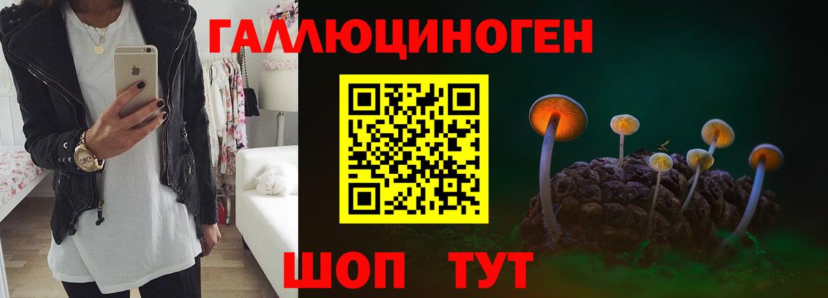 Галлюциногенные грибы GOLDEN TEACHER  Галлюциногенные грибы Psilocybe  Вход с VPN  что такое наркотик  Ленинск-Кузнецкий 